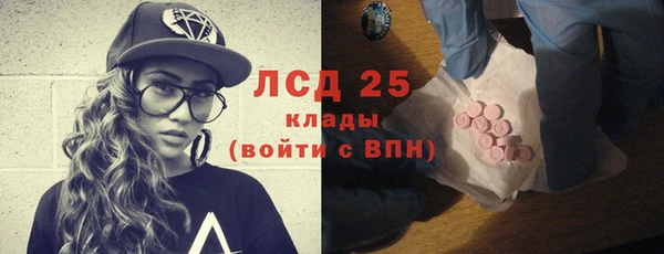 стаф Алзамай