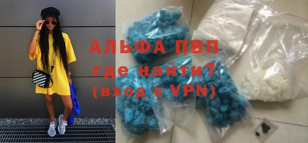 стаф Алзамай