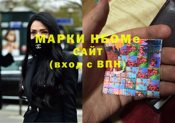 стаф Алзамай