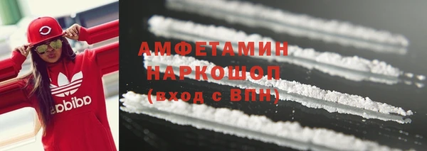 стаф Алзамай