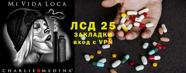стаф Алзамай