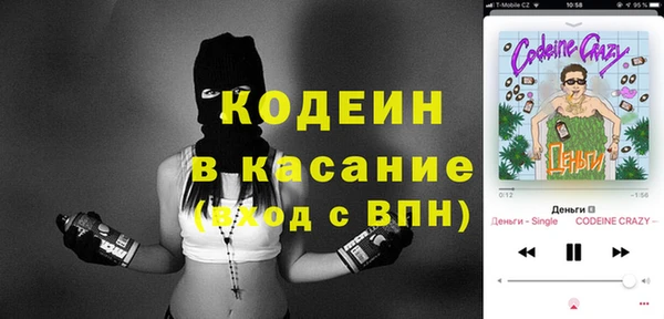 стаф Алзамай