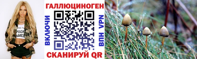 купить   ссылка на мегу зеркало  Псилоцибиновые грибы мухоморы  Апшеронск 